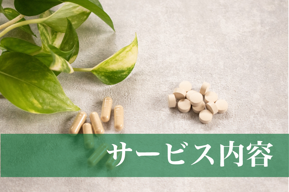 サービス内容
